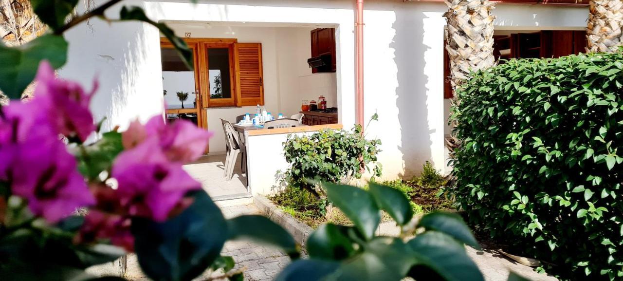 Ninfa Sul Mare Apartments 50 M E T R I Dal Mare Best Breakfast And Free Parking Capo Vaticano Exterior foto