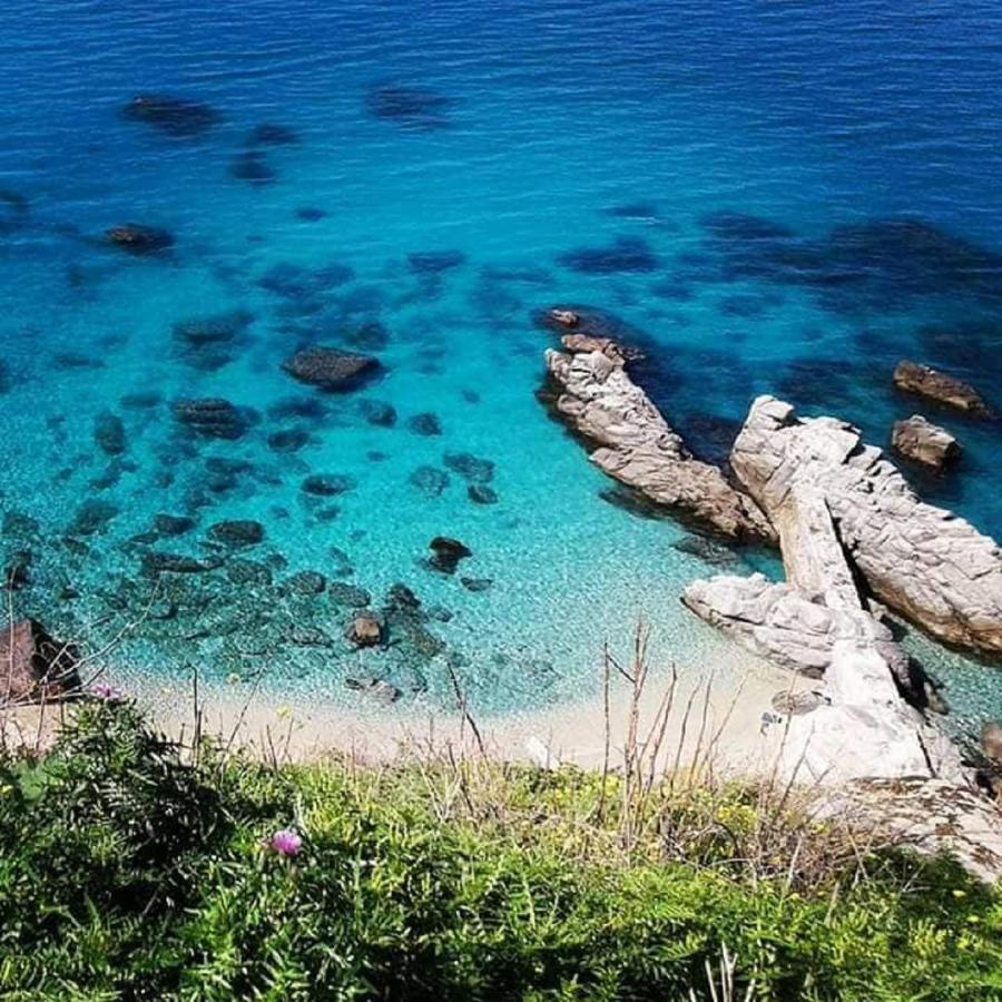 Ninfa Sul Mare Apartments 50 M E T R I Dal Mare Best Breakfast And Free Parking Capo Vaticano Exterior foto