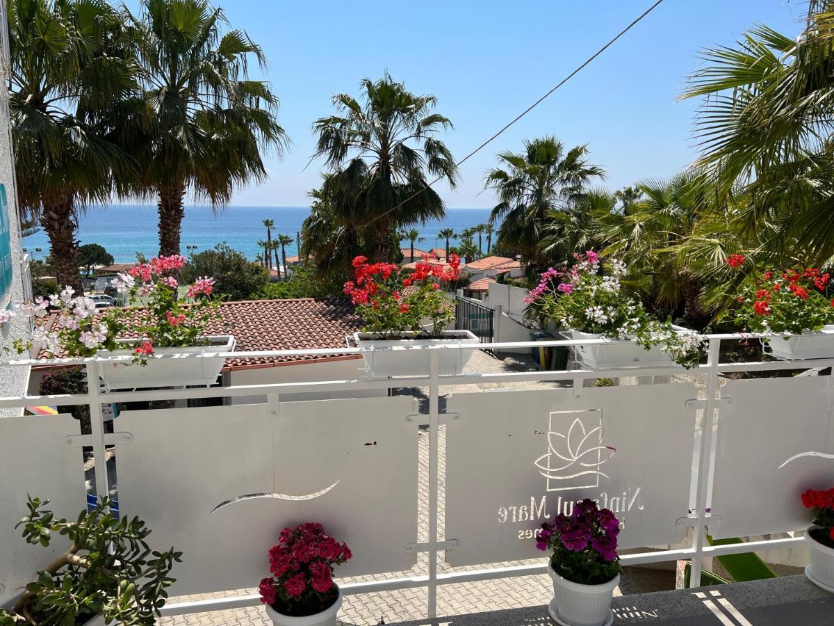 Ninfa Sul Mare Apartments 50 M E T R I Dal Mare Best Breakfast And Free Parking Capo Vaticano Exterior foto